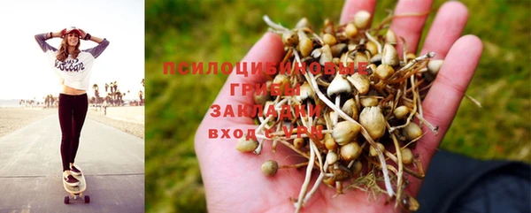 синтетический гашиш Арсеньев