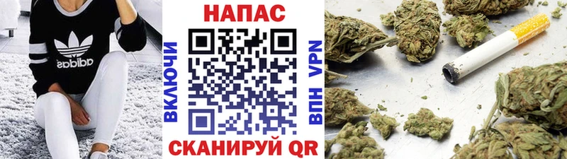 kraken ССЫЛКА Бакал Марихуана индика